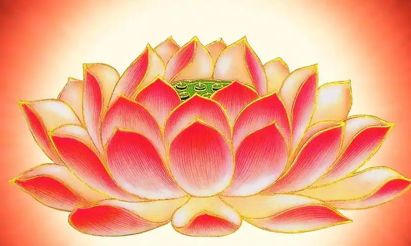 为什么佛教爱用莲花而不是荷花这两种花有什么区别呢