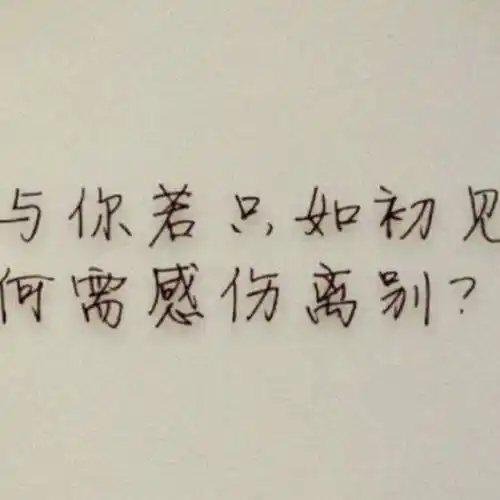 再见只是陌生人