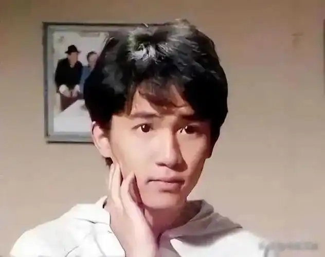 在这个喧嚣的世界里,梁朝伟和刘嘉玲用简单的爱情故事,点燃了人们内心