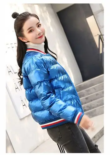 年冬季  面料材质:其他  领型:圆领  袖长:长袖  颜色分类:银色 蓝色