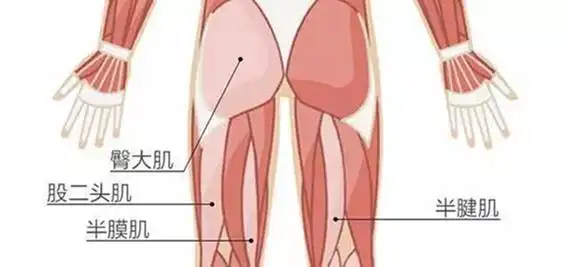 跑步除了膝关节,你还要懂得大腿防护!_ynet.com北青网