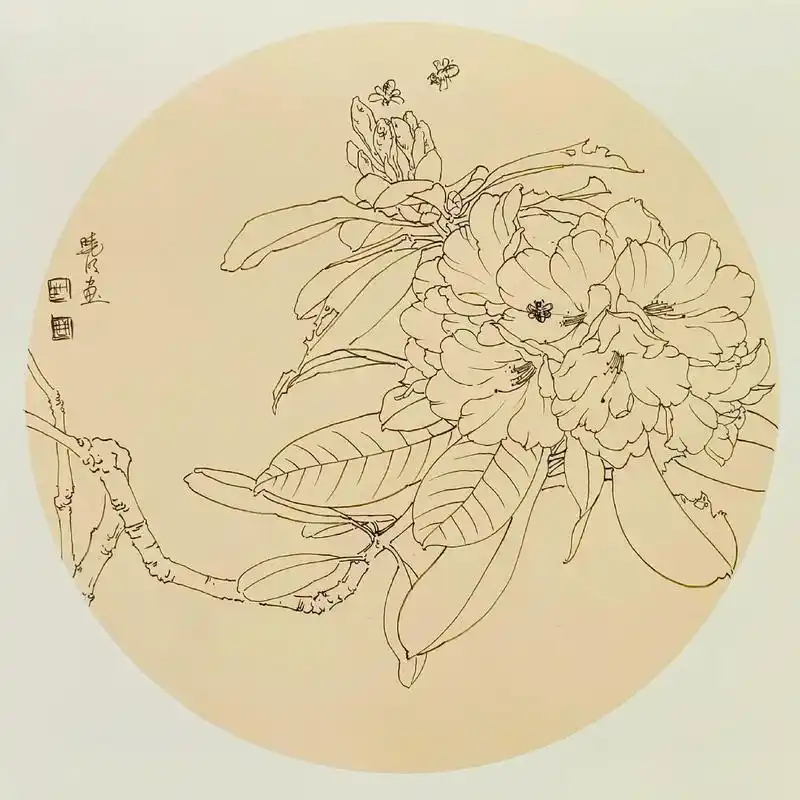 前一阵在昆明的《写生杜鹃花》毛笔精稿整理完毕.#工笔画 #一起学画画
