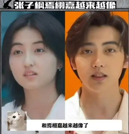 2,张子枫焉栩嘉分手