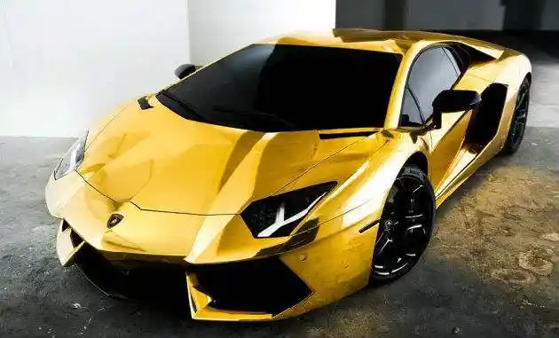 展开全部 黄金跑车,28.5亿元.平均每跑100公里将磨损掉近50克黄金.