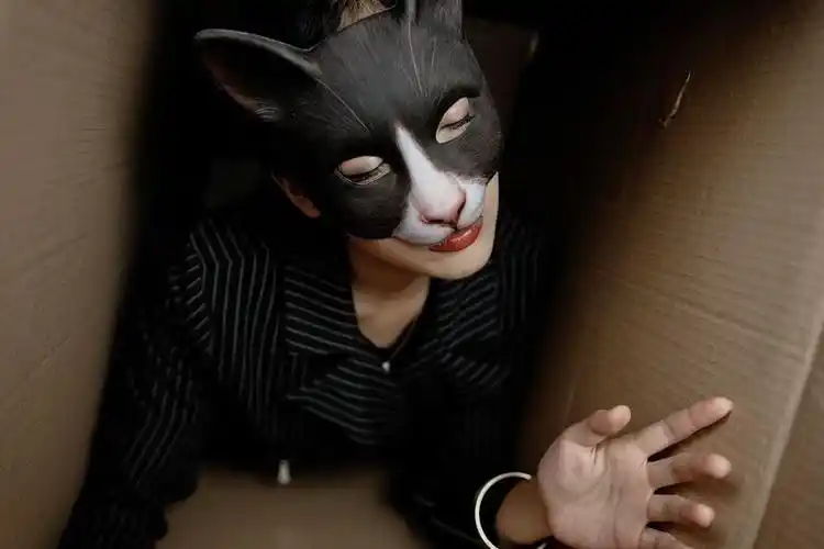 蒙面唱将同款面具 蒙面唱将同款面具蒙面歌王面具歌手头套面罩定制