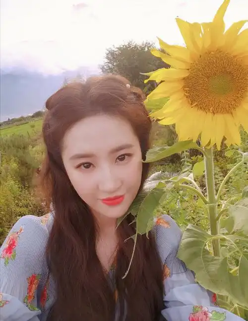 前段时间,有网友通过社交账号,晒出了一张演员刘亦菲的生活照,镜头中