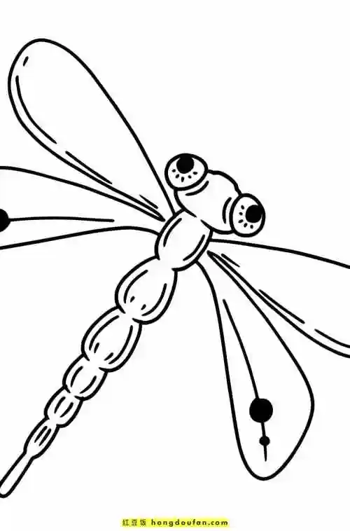 10张6到11岁最喜欢的昆虫卡通简笔画大全