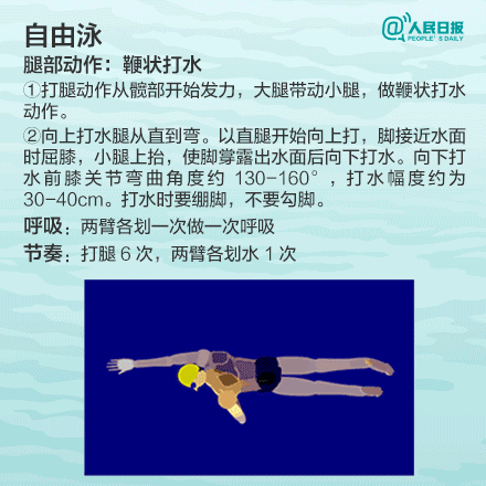 自由泳动作图加文字详细教程ziyouyong2.gif