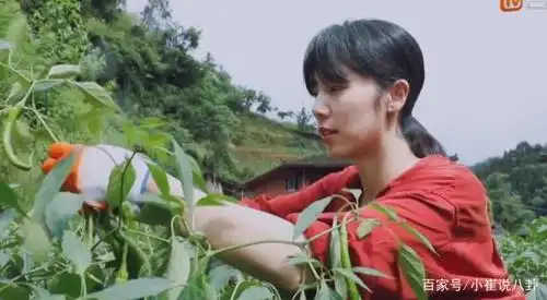 《向往的生活》黄磊全程宠妻,孙莉心疼黄磊被油烟熏