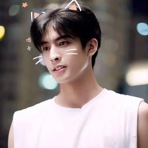 微信头像宋威龙