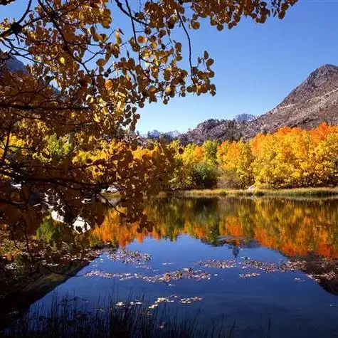 2023自然的痕迹风景头像_风景静物头像_我要个性网