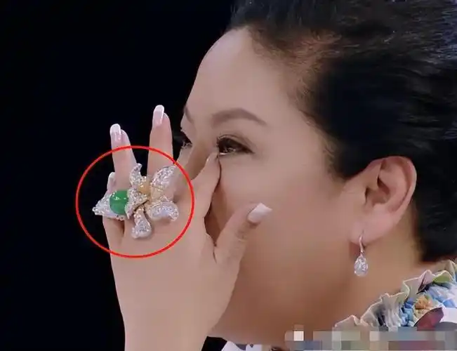 "向太"陈岚:掏8000多万买钻石项链嫌便宜,儿媳生娃奖上亿别墅|向华强