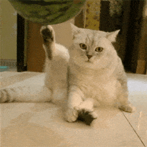 叮您收到一组沙雕表情包67快进来看黑丝