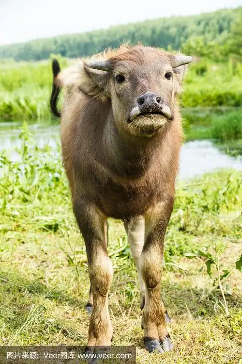 冬天已过,春天应该要来了_渤海化学(600800)股吧_东方财富网股吧
