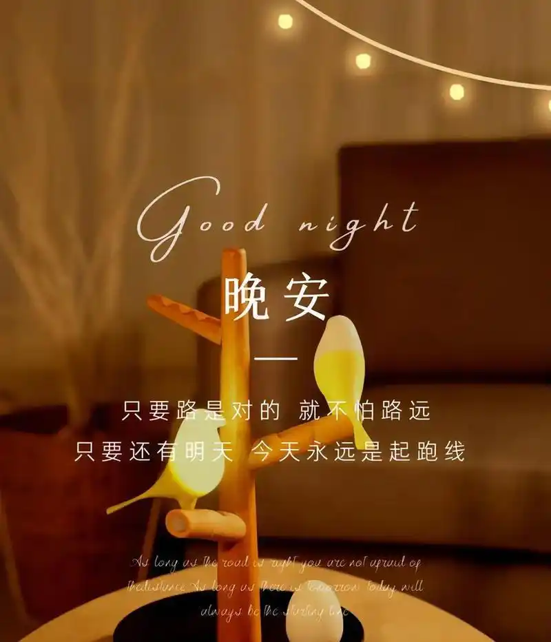 晚安,好梦!夜深了,早点休息,照顾好自己,明天才能更好地搬砖!