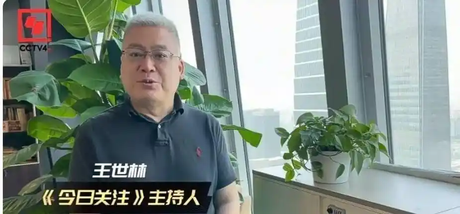 央视主持人王世林亮相网综,透露工作有新调整,难怪没在cctv-4出镜了