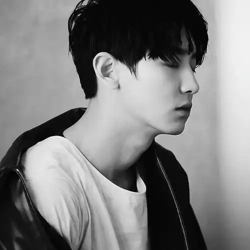 朴灿烈黑白氛围图合集