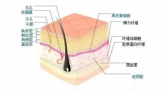 去角质的正确方法