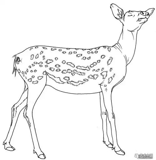 征兆-梅花鹿(线稿)