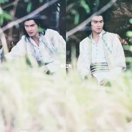 高伟光西毒欧阳锋造型