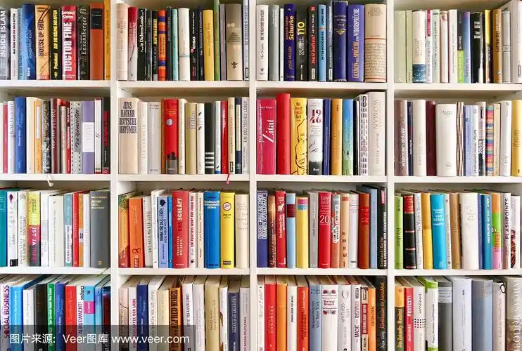 白色的图书馆书架上摆满了五颜六色的书