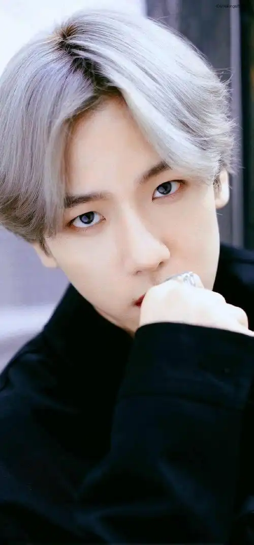 手机壁纸边伯贤