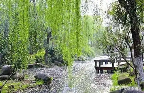 古诗词中优美的柳絮纷飞