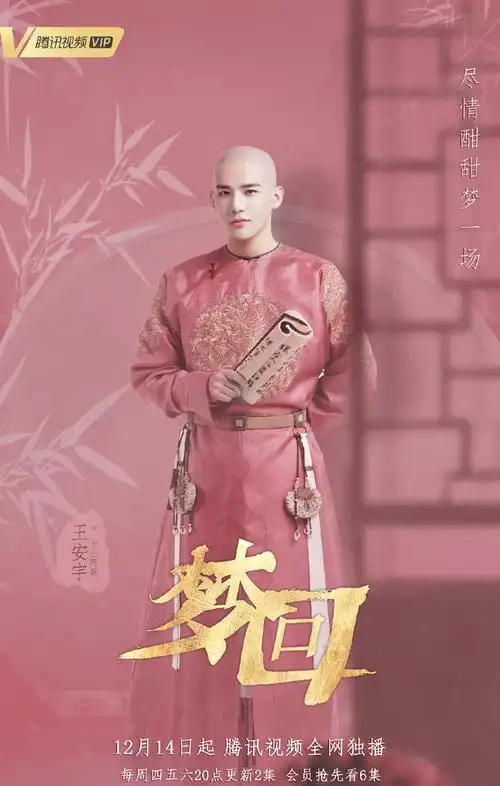 电视剧梦回单人海报图片