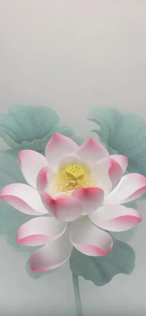 莲花壁纸,远观莲花,如霞似雪,洁白无瑕