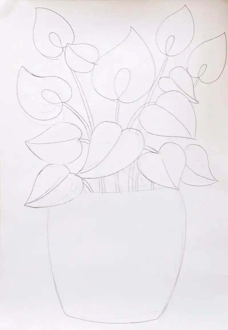 《红掌》线描画.适合4～6岁小朋友,喜欢画画的快点画起来吧# - 抖音