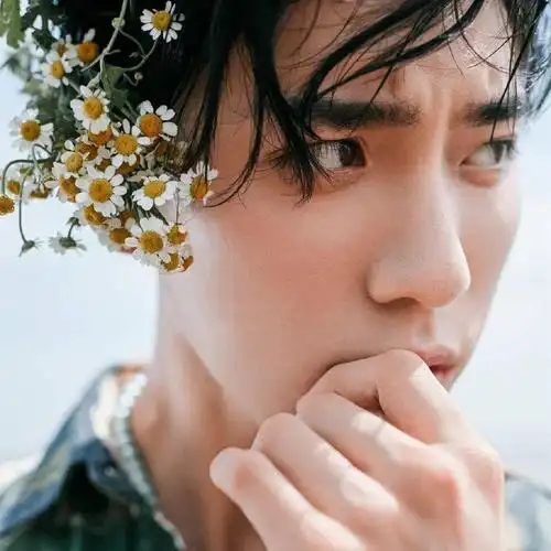 微信头像王子异