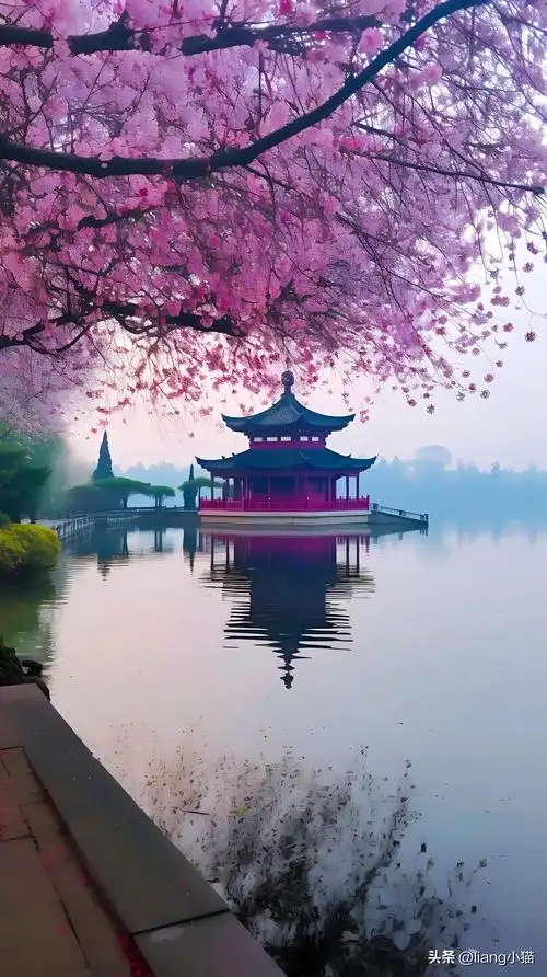 西湖美景,太漂亮了