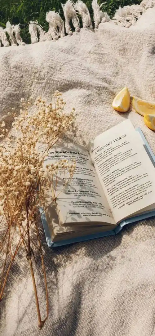 壁纸超爱的ins高级感壁纸来啦