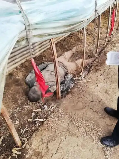鞍山一大棚旁发现死尸尸体面部已黑