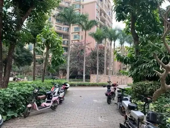 6015法拍今日上新 住宅中山坦洲【美丽花园】 94.58平 - 抖音