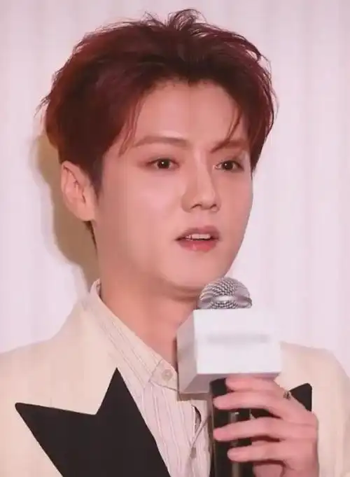 鹿晗在这场非公开活动结束之后,主动发布了一组自拍照,银发下是一张更