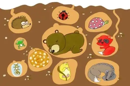冬眠的动物有哪些哪些动物要冬眠过冬
