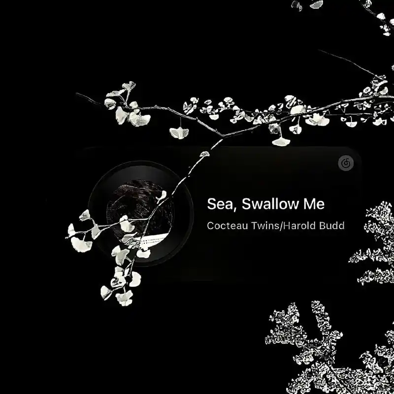 黑白系 #高级感 #背景图 #你该换背景图了 #欧美 - 抖音