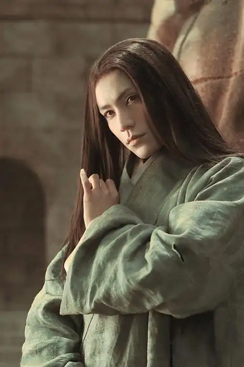 陈坤 电影《龙门飞甲》雨化田