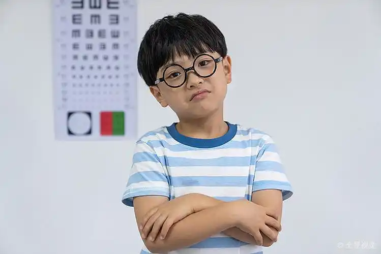 戴眼镜的小男孩_高清图片_全景视觉