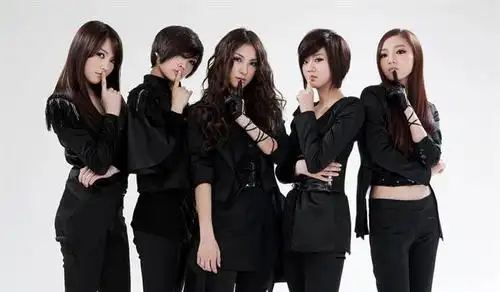 2007年,由dsp娱乐推出了清新可爱形象的4人组女子组合kara.