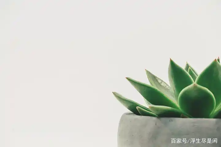 那些安静而温柔的背景图,适合女孩子的