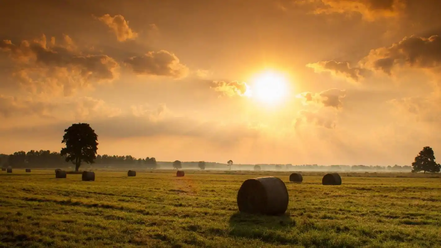 风景壁纸,唯美,天空,清新,森林,自然风光,田园,山川,太阳,壁纸,1920x