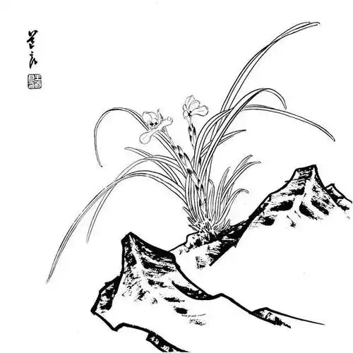 画工笔画没线稿?39张高清工笔画线稿送给您,快来临摹吧