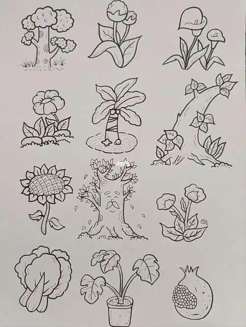 植物简笔画