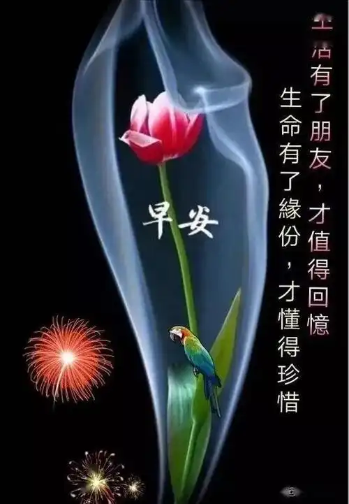 早上好表情图片人生感悟经典语录