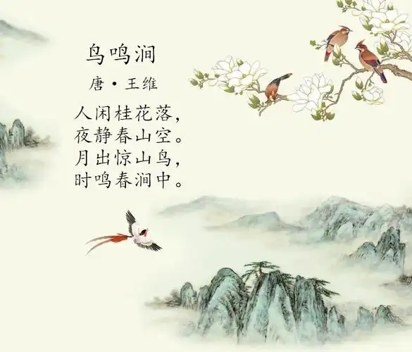 小博士幼儿园《经典咏流传》鸟鸣涧