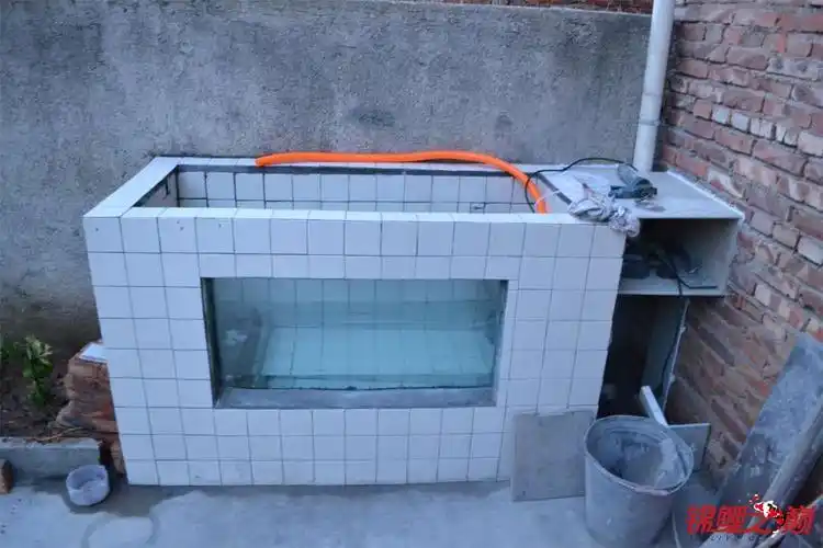 第一次自建池子 - 鱼缸鱼池 - 龙巅锦鲤鱼