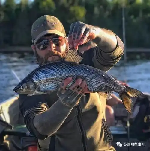 daniel常说,"食物就在你的身边"!