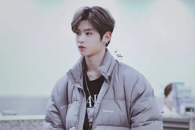 参加综艺多脑子好使,粉丝反应亮了_黄明昊_张艺兴_杨紫